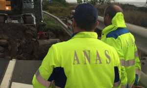 ANAS copia