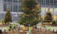 Alberi Natale a pedali