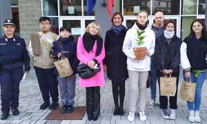 Albero falcone Gobbetti