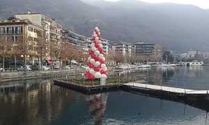 AlberodiNatalesuterrazza700