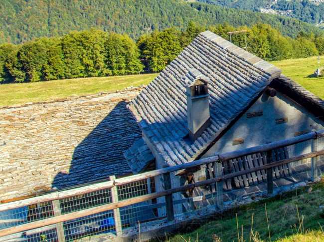 Alpe Cortino1