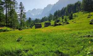 Alpe Devero sentiero natura per Crampiolo