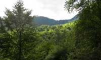 Alpe Parpinasca