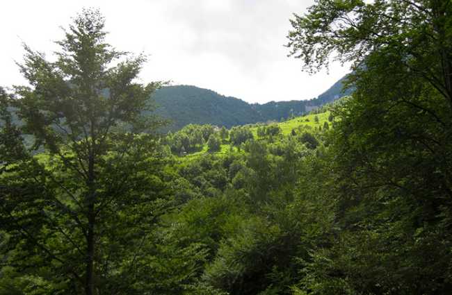 Alpe Parpinasca