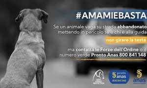 Amami e Basta Campagna