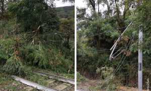 BE40BABB 088B 4B33 8161 469F799D9DC6