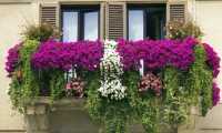Balcone fiorito