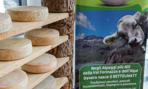 BiancoLatte ph. Marco Benedetto Cerini 8