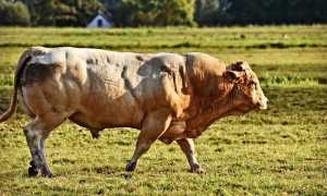 C1A4B0B8 BCB8 4768 8920 7635CD12282B