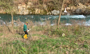 Casale cc pulizia parco