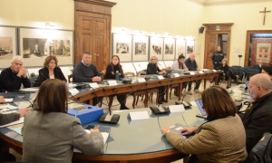 Consiglio comunale Domo