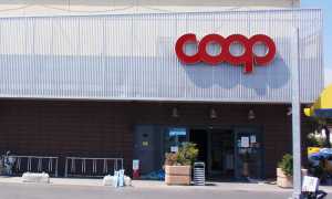Coop Carrara