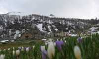 Crochi Alpe Veglia