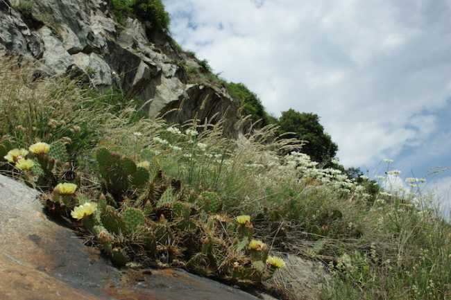 DSC07100 Paulette Lesage