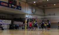 Domo Pavic 1
