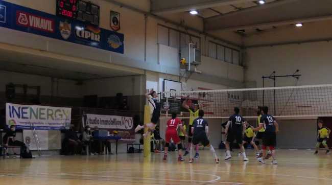 Domo Pavic 1