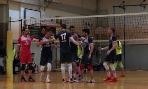 Domo Pavic 4