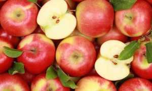 FRUTTA Mele3