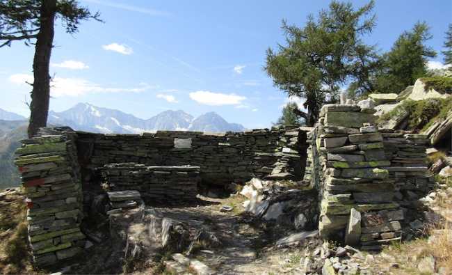 Fortino Bognanco copia