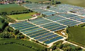 FotoAereaAgroittica