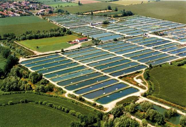 FotoAereaAgroittica