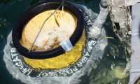 Foto Seabin
