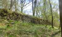 Fretterode Trockenmauer 2