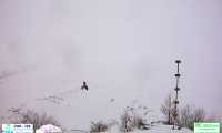 Gipeto al Belvedere