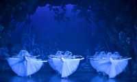 Giselle 164