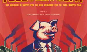 Grafica Digital FFP Verbania v2