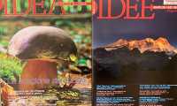 IDEA set 19
