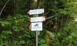 IMG 20210606 071212