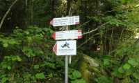 IMG 20210606 071212