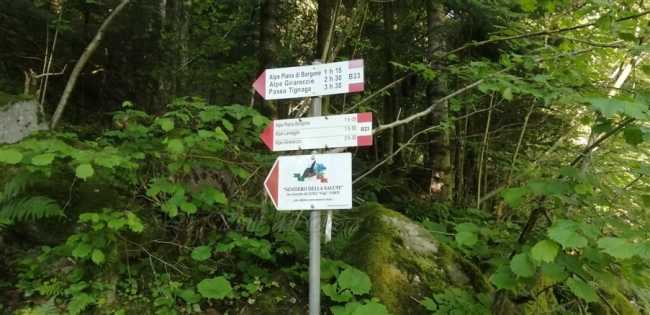 IMG 20210606 071212