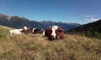 IMG 20220821 WA0018