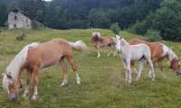 IMG 20250626 WA0078