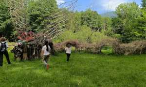 IMG20250531161346
