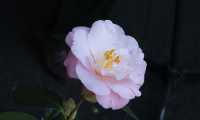 IMG 0945 copia