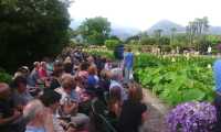 IMG 20150625 173214