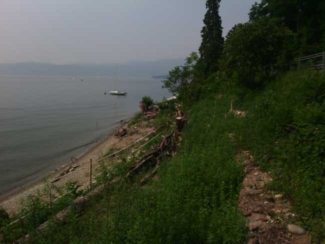 IMG 20150707 112645