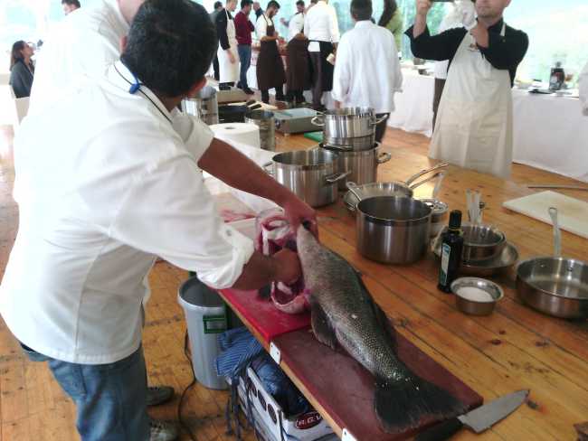 IMG 20151013 113739