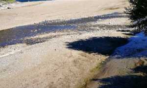 IMG 20160906 145458 copia