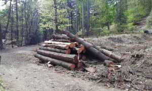 IMG 20190421 150726 copia