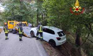 IMG 20231015 200409 700 x 500 pixel