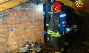 IMG 20231211 075928 700 x 519 pixel