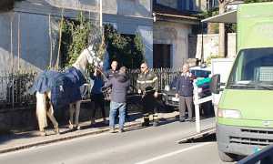 IMG 20231215 130144 700 x 428 pixel