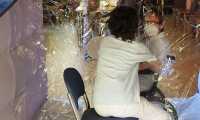 IMG 4484a