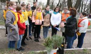 IMG 4829