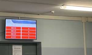 IMG 52581