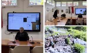 IMG 6807